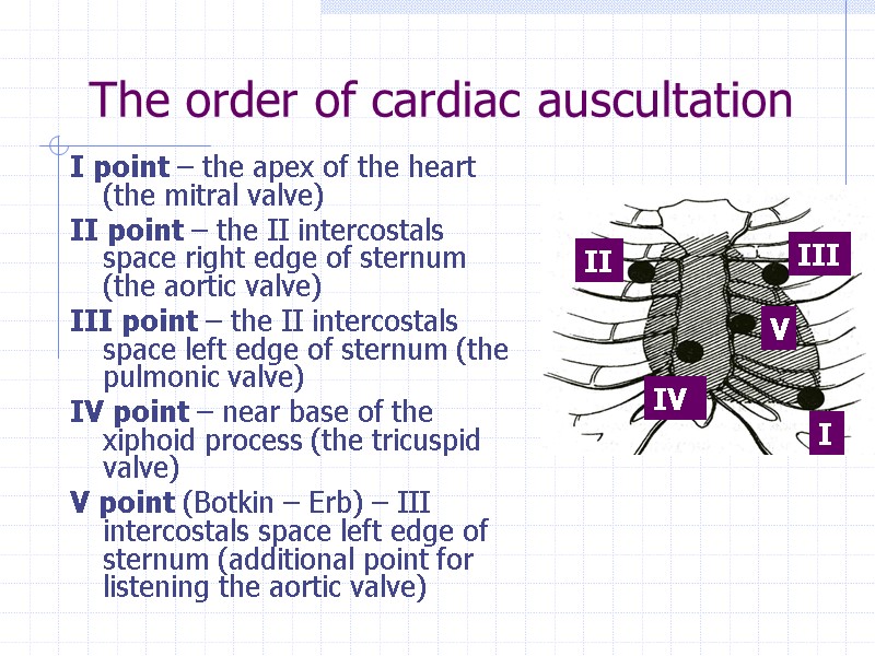 The order of cardiac auscultation І point – the apex of the heart (the